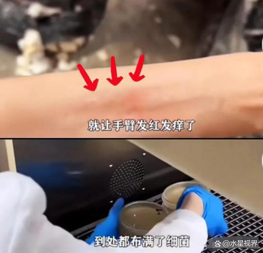 比想象中的更加恶心难怪女性会得妇科病AG真人中国315晚会大爆雷出现了(图13)