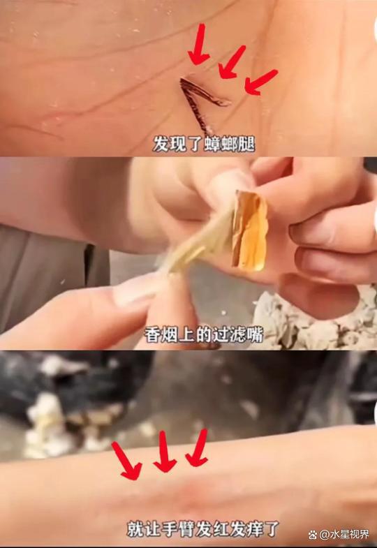 比想象中的更加恶心难怪女性会得妇科病AG真人中国315晚会大爆雷出现了(图19)
